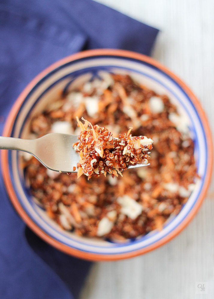 Quinoa roja y pollo2