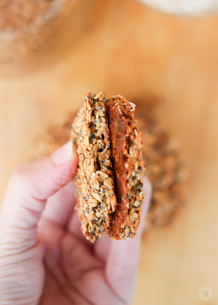 Galletas de avena y semillas