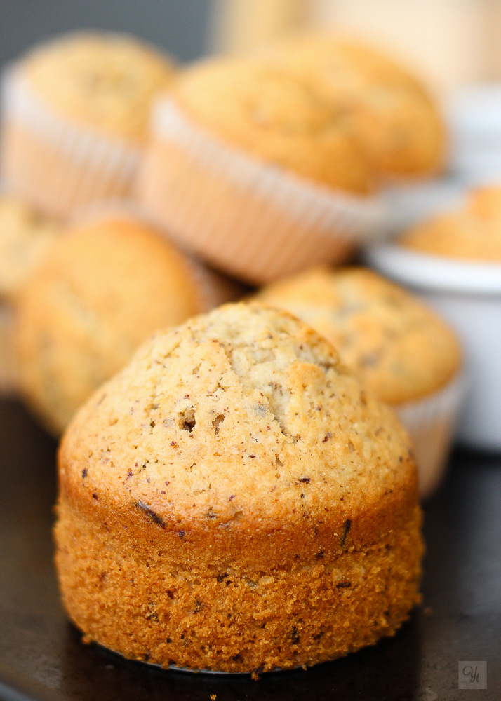 Muffins de coco y chocolate